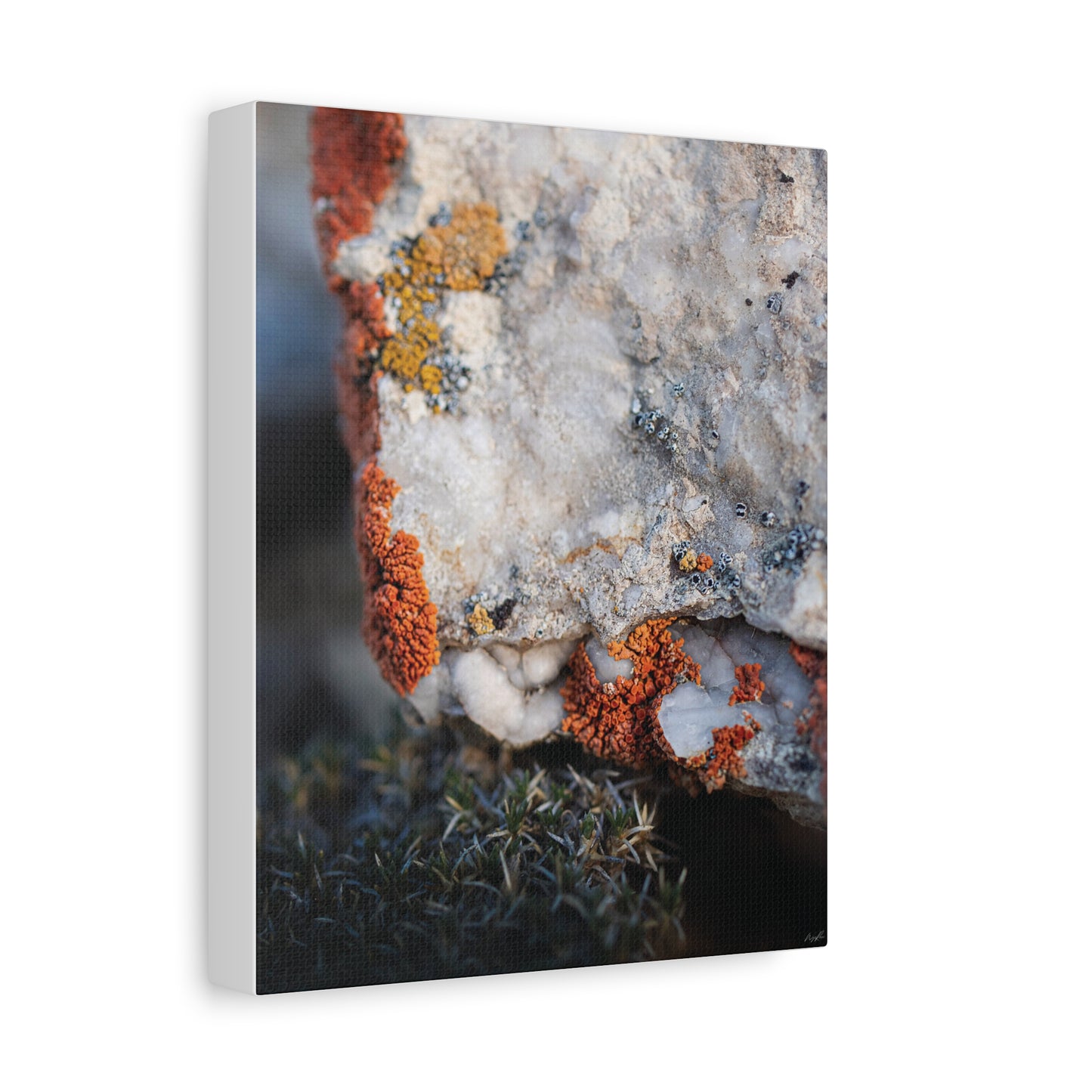 Written in Color — Weathered Time by WyoRaw