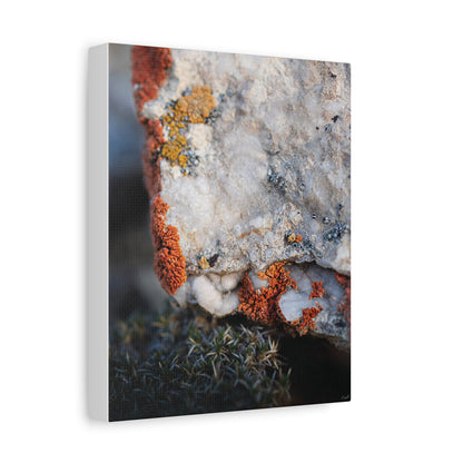 Written in Color — Weathered Time by WyoRaw