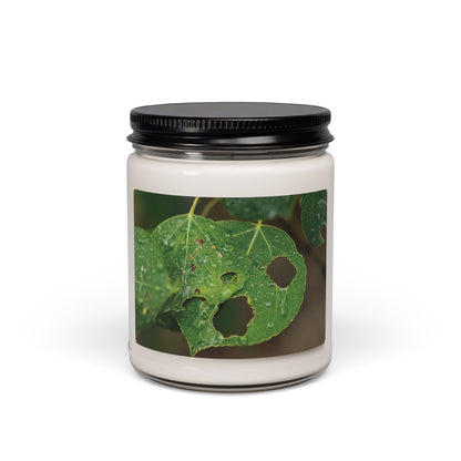 Quiet Resilience: "Crying Leaf" - Candle