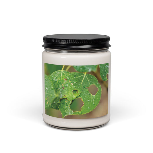 "Crying Leaf" - Candle