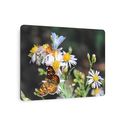 "Butterflys on Wildflowers" - Metal Wall Art