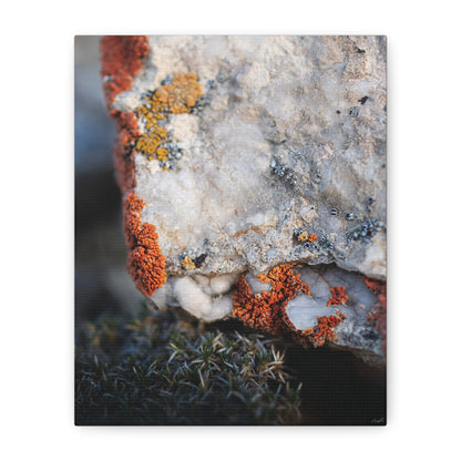 Written in Color — Weathered Time by WyoRaw
