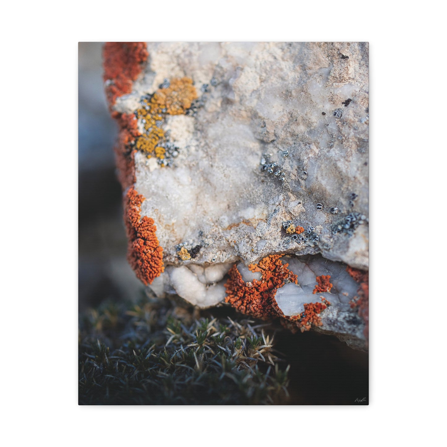 Written in Color — Weathered Time by WyoRaw