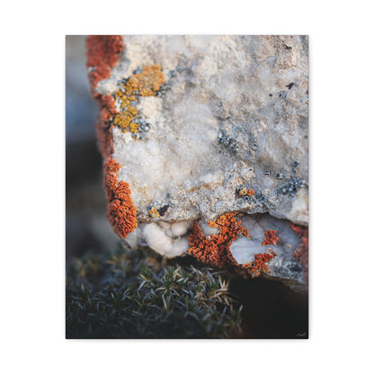 Written in Color — Weathered Time by WyoRaw