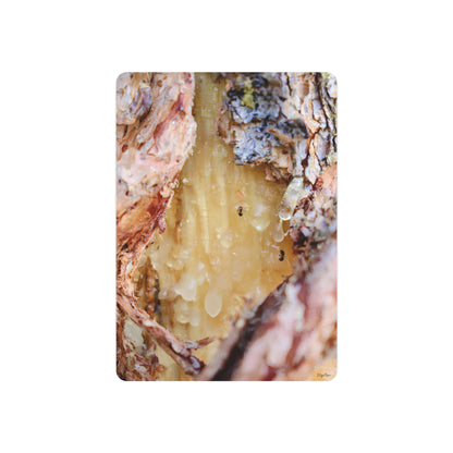 "Ants Encased in Sap" - Metal Wall Art