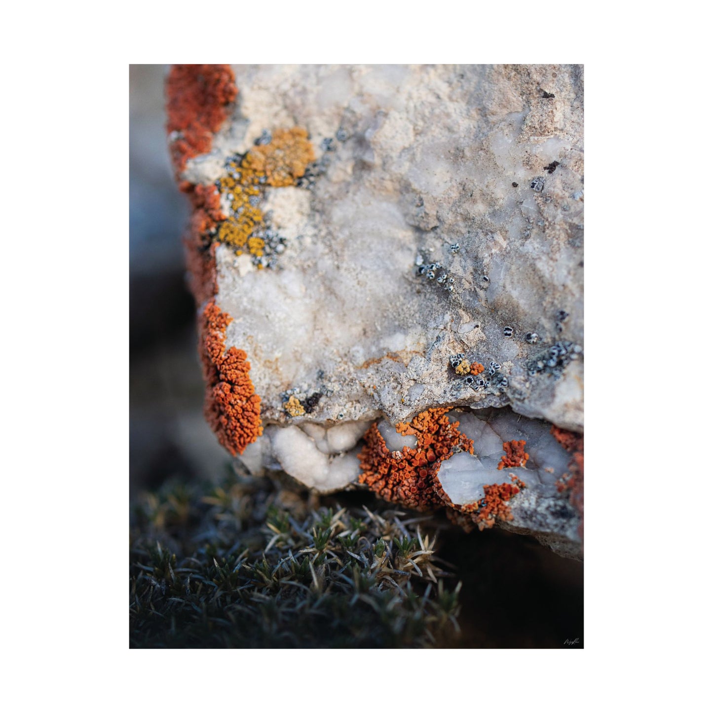Written in Color — Weathered Time by WyoRaw