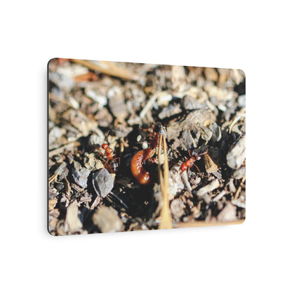 "Ants vs Worm 2" — Metal Art Sign