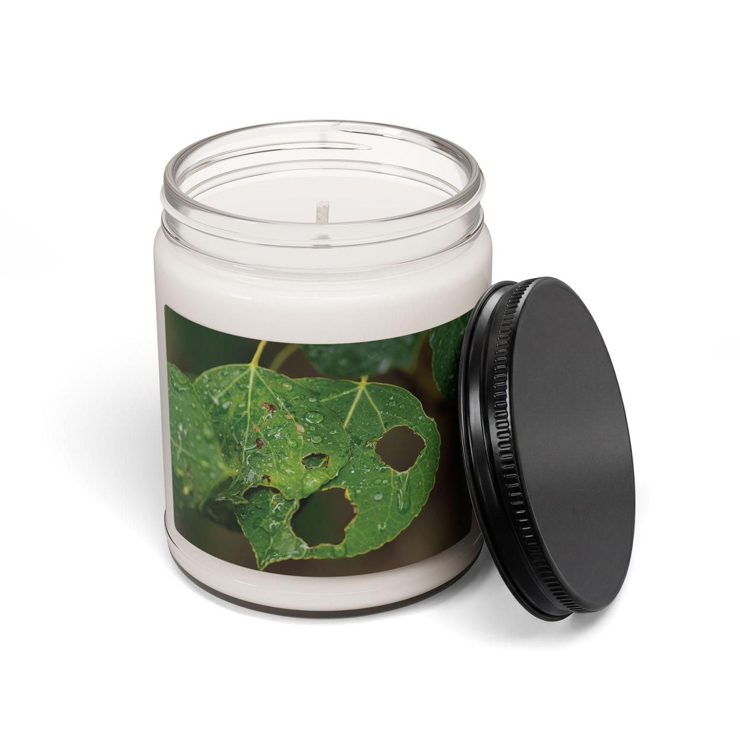 Quiet Resilience: "Crying Leaf" - Candle