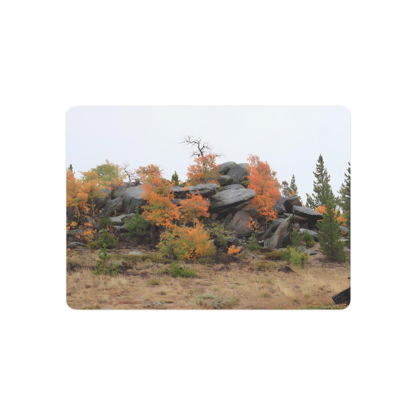 "Autumn Rocky Outcrop" - Metal Wall Art