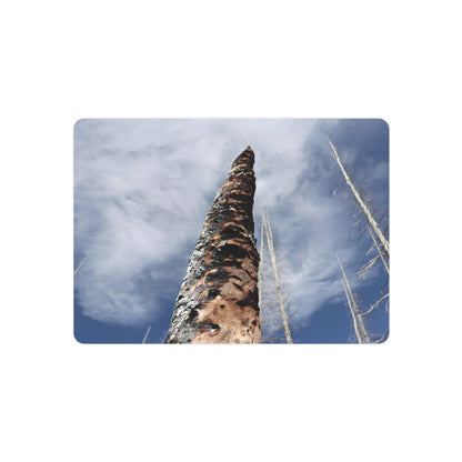 "Scorched Tree" - Metal Wall Art