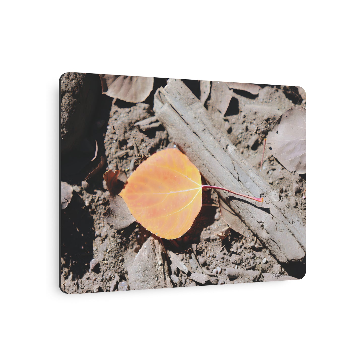 "Autumn Leaf" - Metal Wall Art