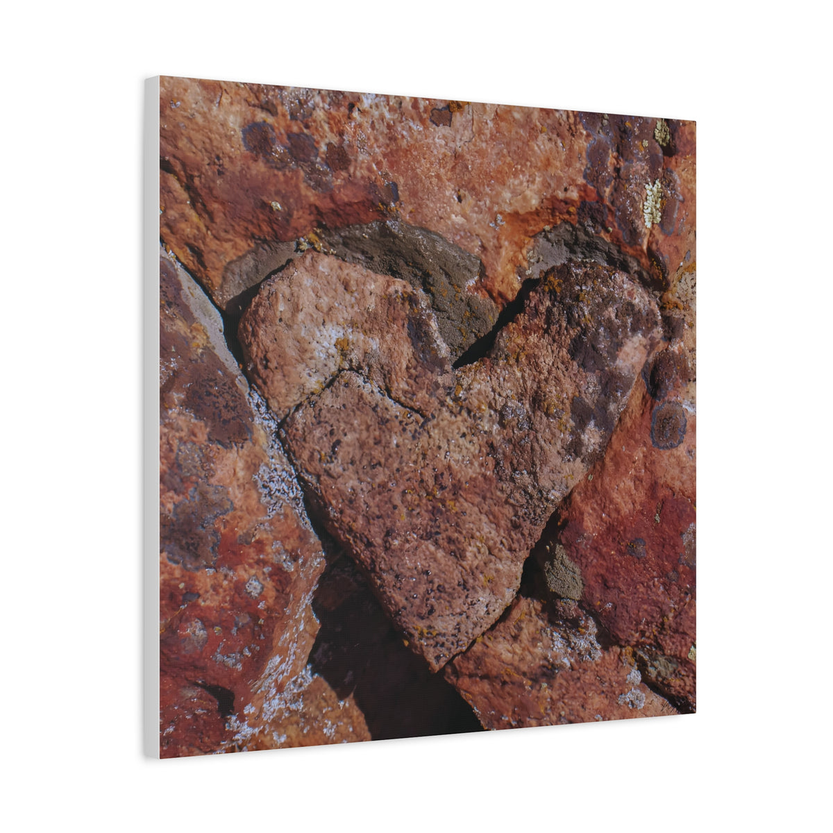 Rustic rock texture with lichen details, macro nature print on canvas