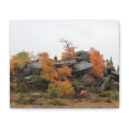 "Autumn Rocky Outcrop" - Canvas Print