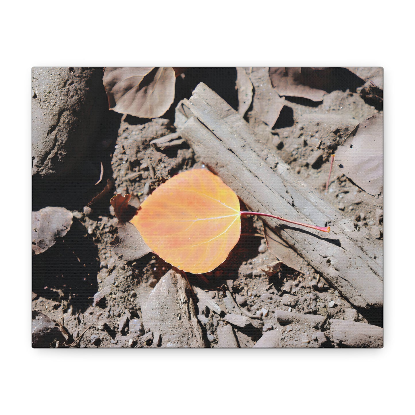 "Autumn Leaf"  - Canvas Print