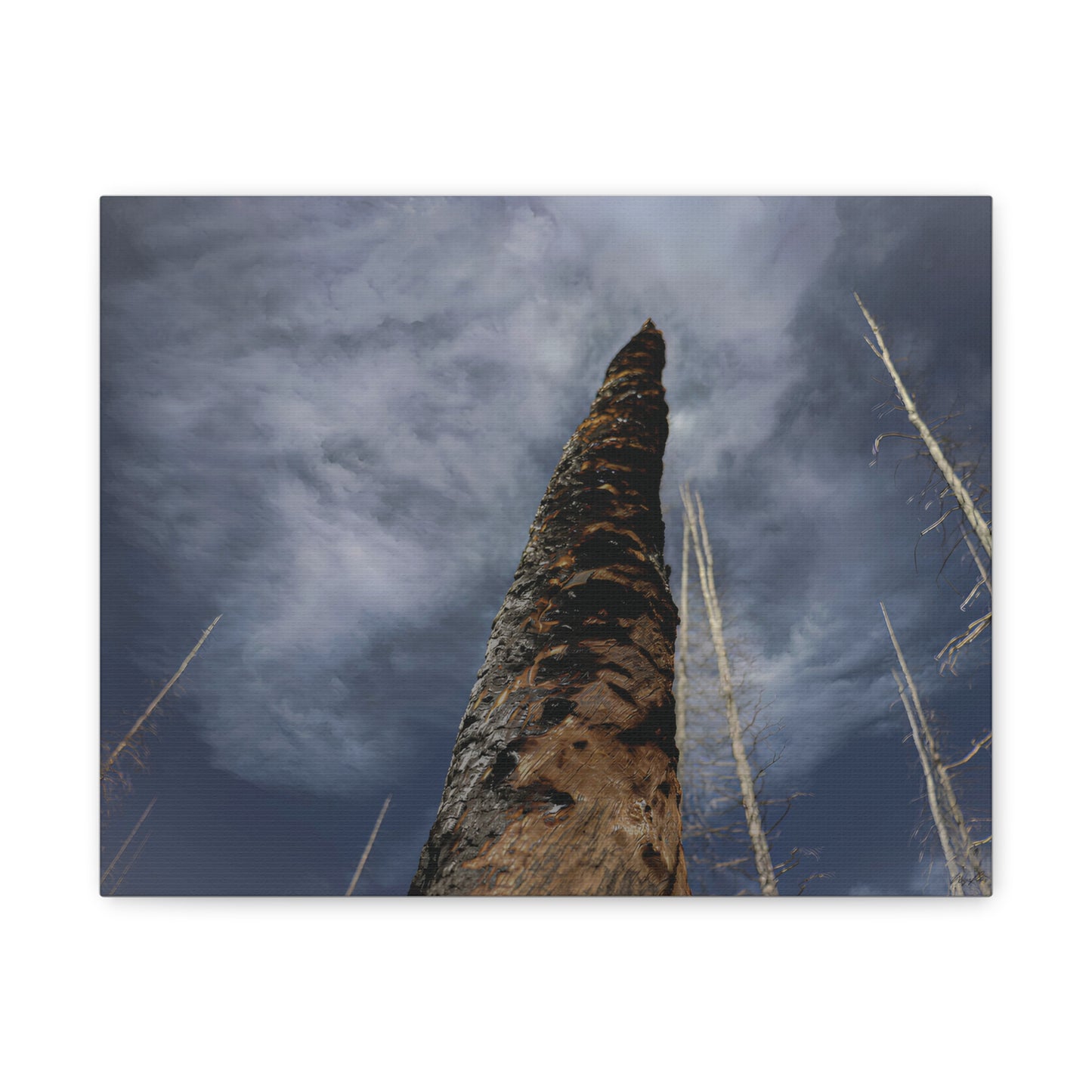 Remnants: "Scorched Tree" - Canvas Print
