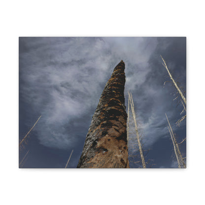 Remnants: "Scorched Tree" - Canvas Print
