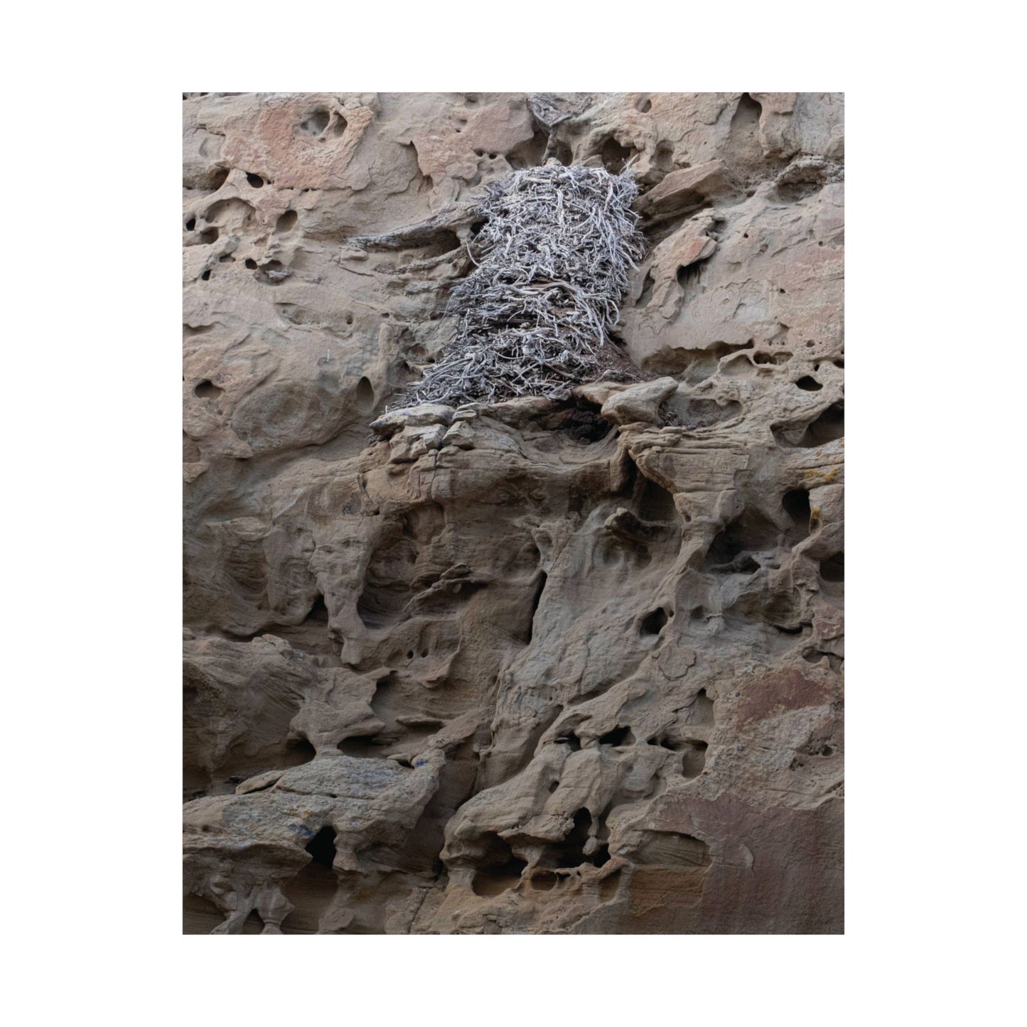 Eagle's Nest in the Petroglyphs — Weathered Time by WyoRaw