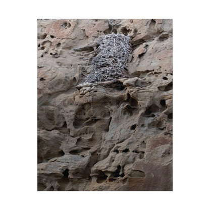 Eagle's Nest in the Petroglyphs — Weathered Time by WyoRaw