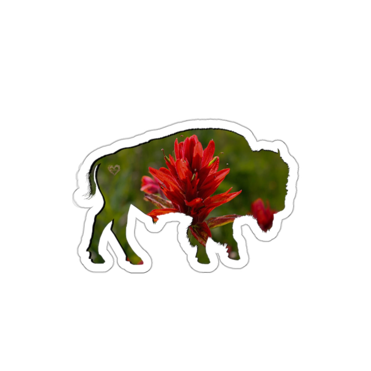 Quiet Resilience: Bison Indian Paintbrush - Die-Cut Sticker
