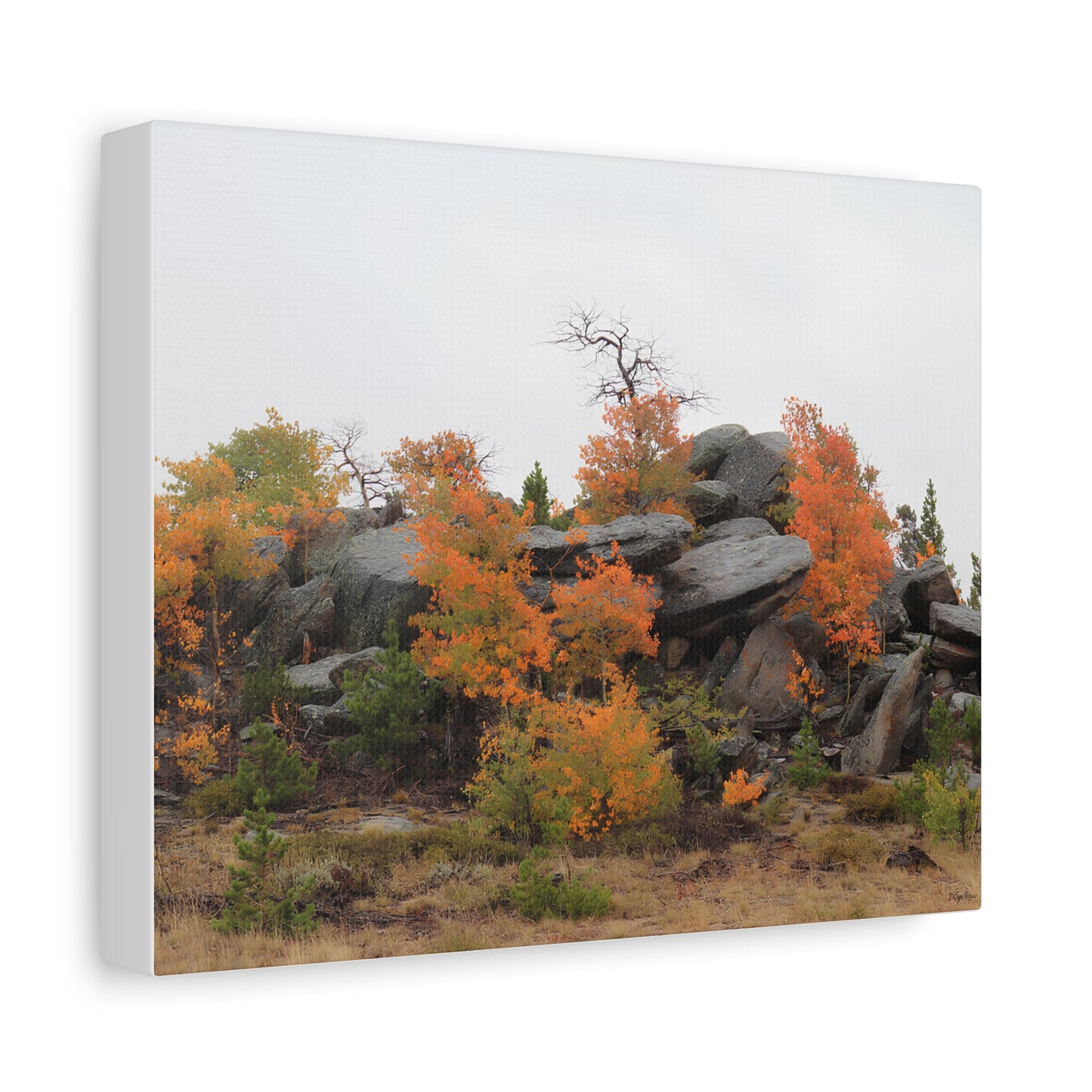 "Autumn Rocky Outcrop" - Canvas Print