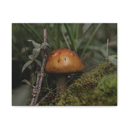 Mushroom in the Forest — Quiet Resilience by WyoRaw