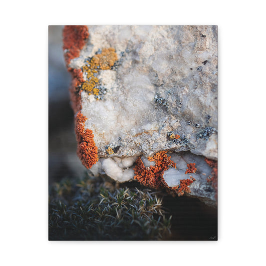 Written in Color — Weathered Time by WyoRaw