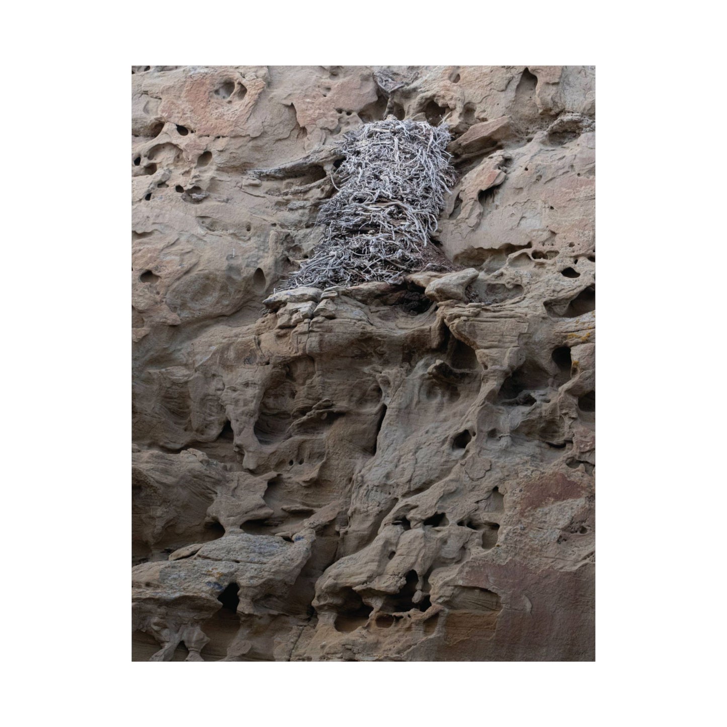 Eagle's Nest in the Petroglyphs — Weathered Time by WyoRaw