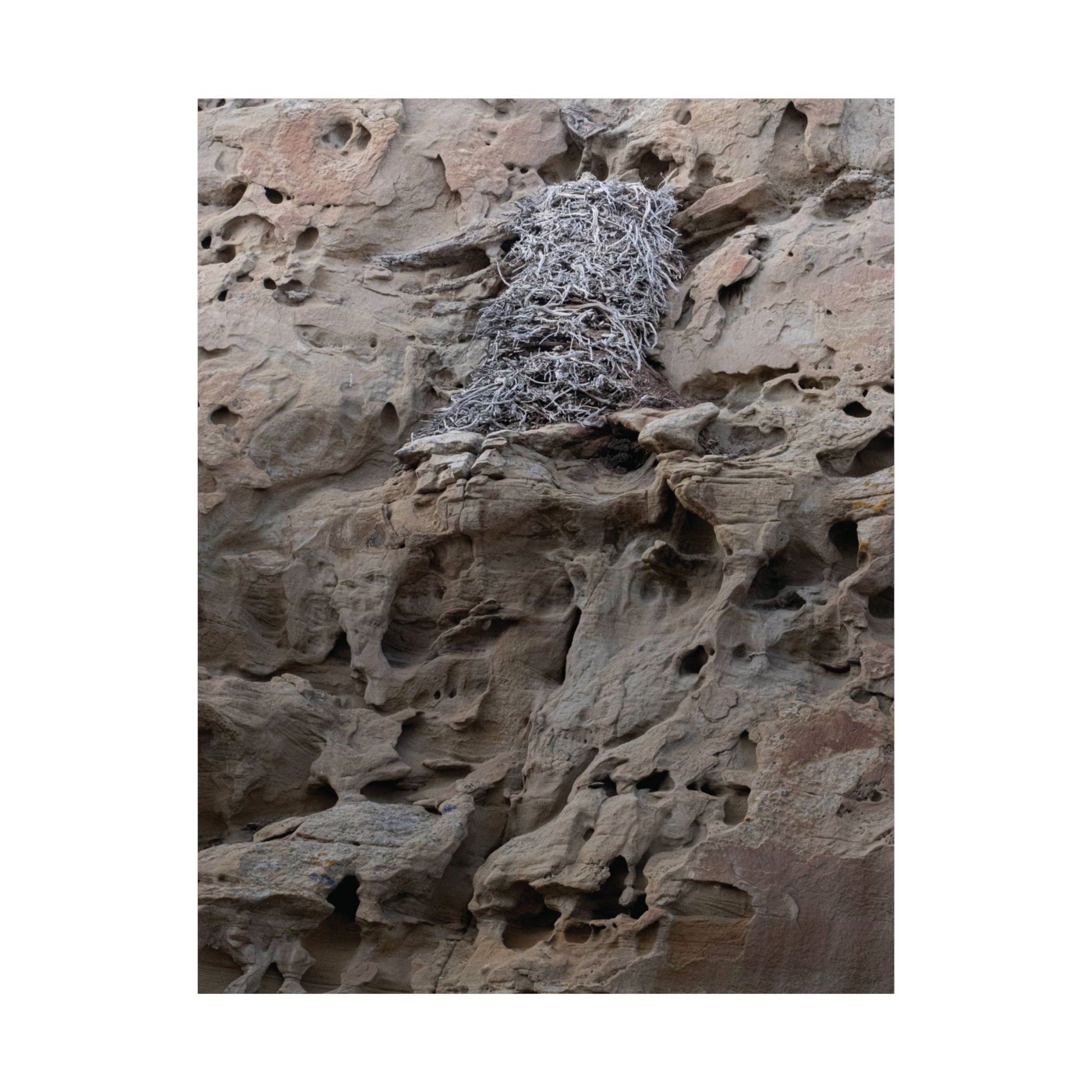 Eagle's Nest in the Petroglyphs — Weathered Time by WyoRaw