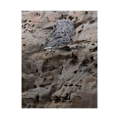 Eagle's Nest in the Petroglyphs — Weathered Time by WyoRaw