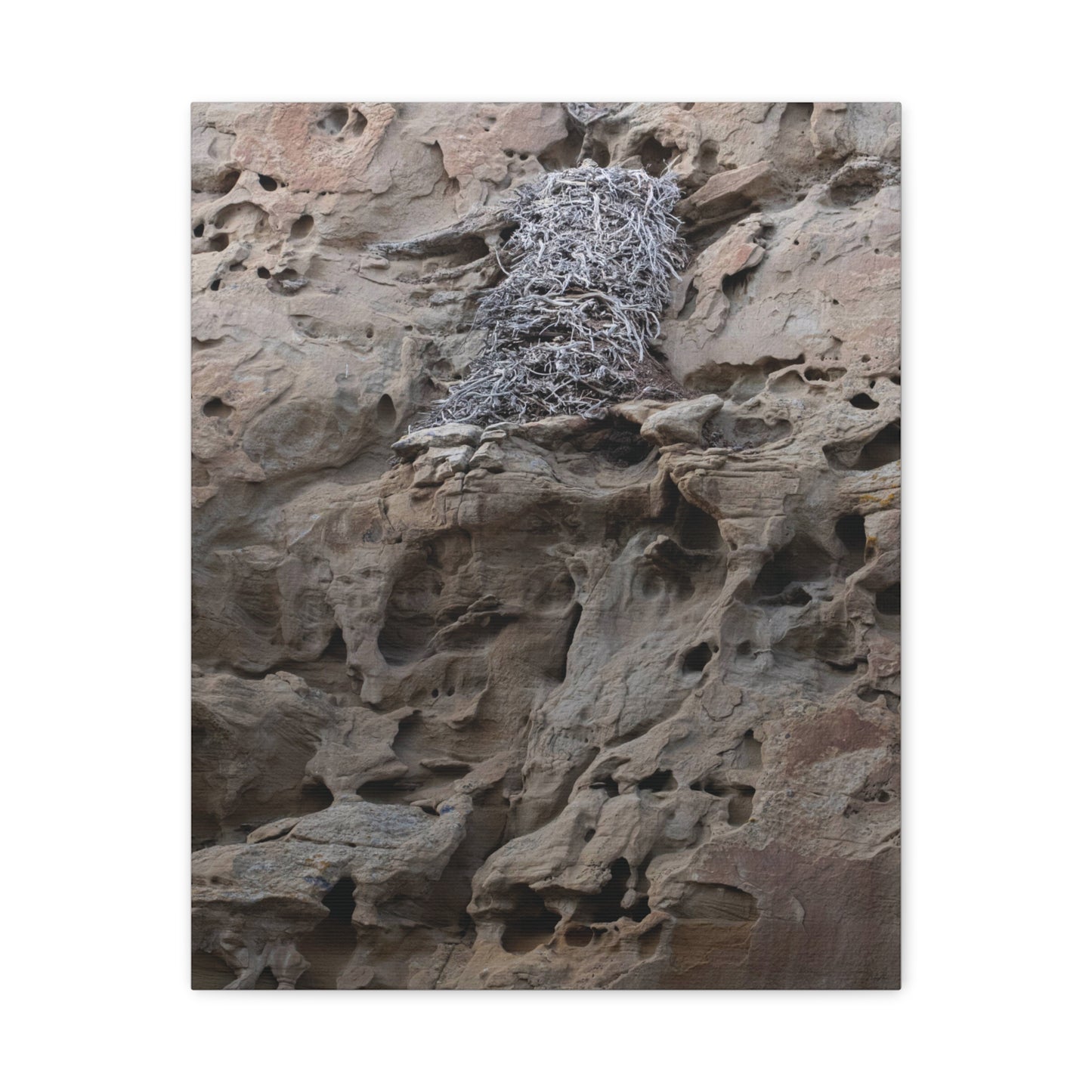 Eagle's Nest in the Petroglyphs — Weathered Time by WyoRaw