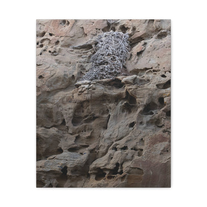 Eagle's Nest in the Petroglyphs — Weathered Time by WyoRaw