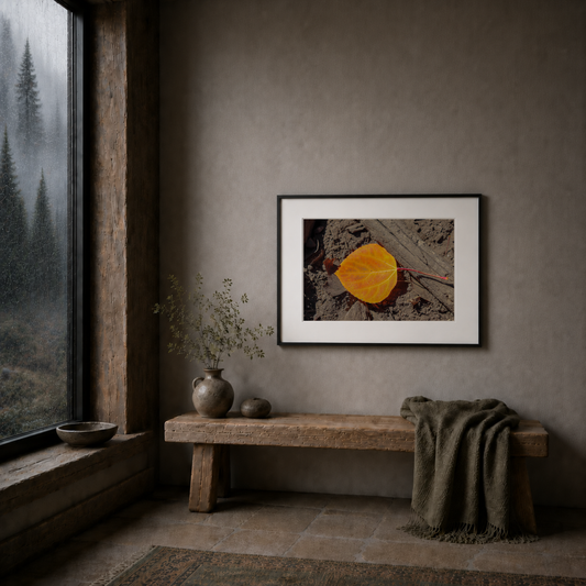 Autumn Leaf — Museum-Grade Archival Print