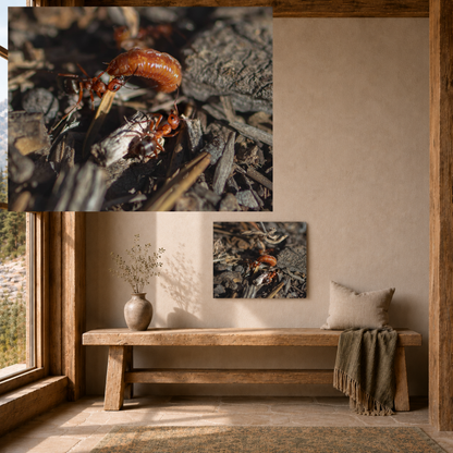Quiet Resilience: “Ants vs Worm” - Metal Wall Art