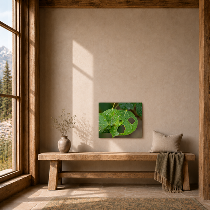 Quiet Resilience: "Crying Leaf" - Metal Wall Art