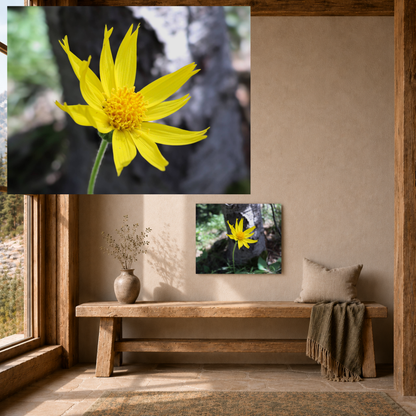 Quiet Resilience: "Holding Light" - Metal Wall Art