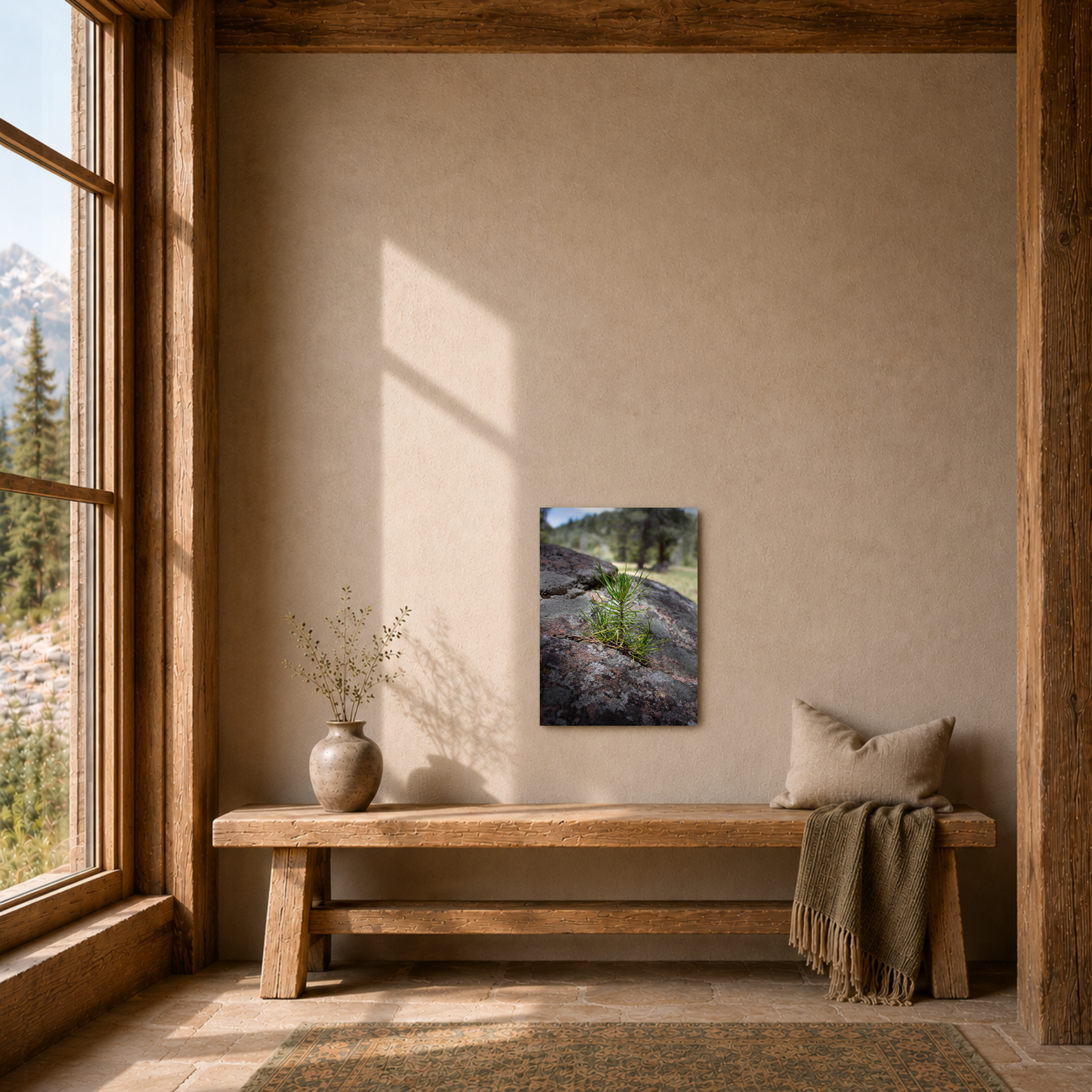 Quiet Resilience: "Young Pine from out of the Boulder" - Metal Wall Art