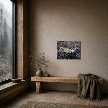 Remnants: “River Relic” - Metal Wall Art