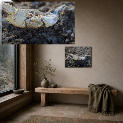 Remnants: “River Relic” - Metal Wall Art