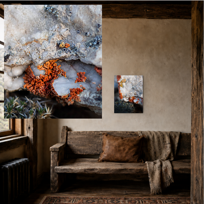 Weathered Time: “Written in Color”