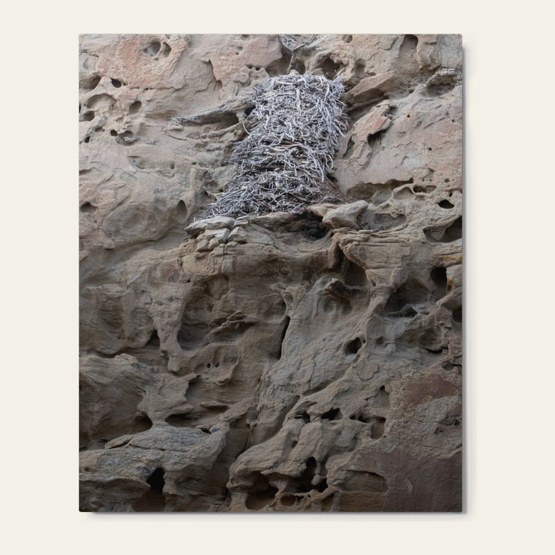 Eagle's Nest in the Petroglyphs — metal wall art of a stick nest on honeycombed sandstone at White Mountain, north of Rock Springs near the Killpecker dunes