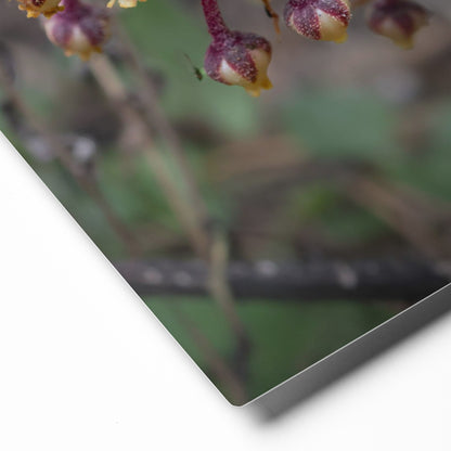 Quiet Resilience: "Woodland Pinedrop" - Metal Wall ArtQuiet Resilience: