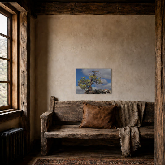 High Country Sentinel hanging in a warm timber-framed room above a rustic bench